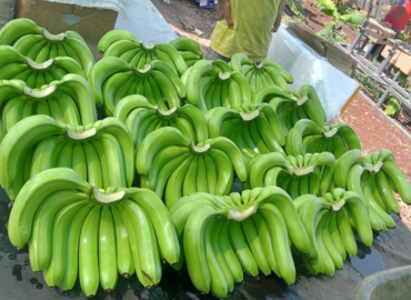 Banana